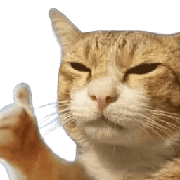 cat-liked