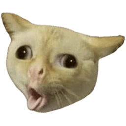 puke-cat