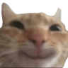 catsmile